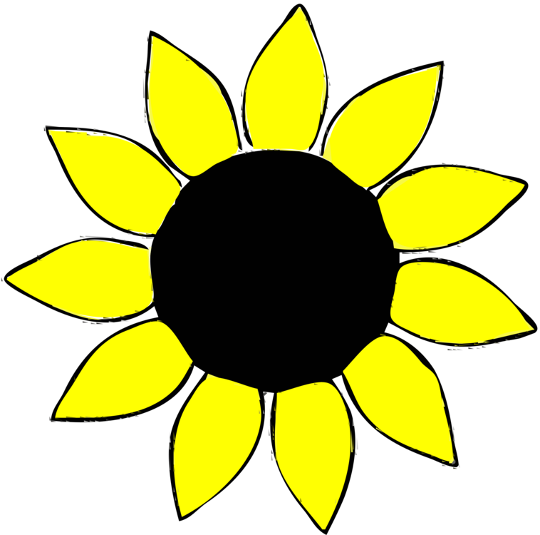 758x750 Common Sunflower Yellow Drawing Computer Icons Cc0