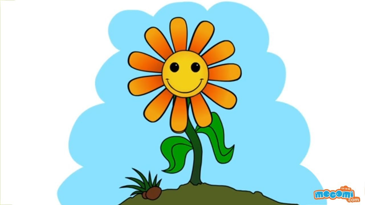 Sunflower Drawing Pictures