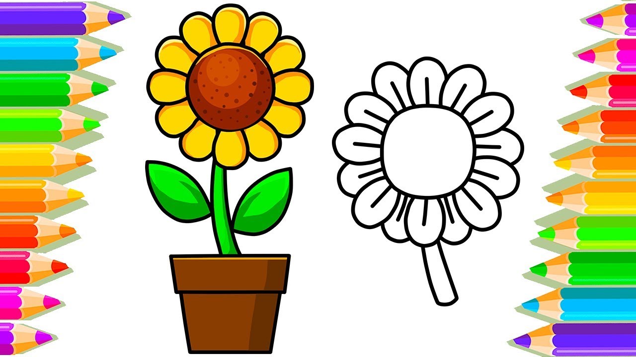 1280x720 Draw A Sunflower How To Draw Sunflower Step