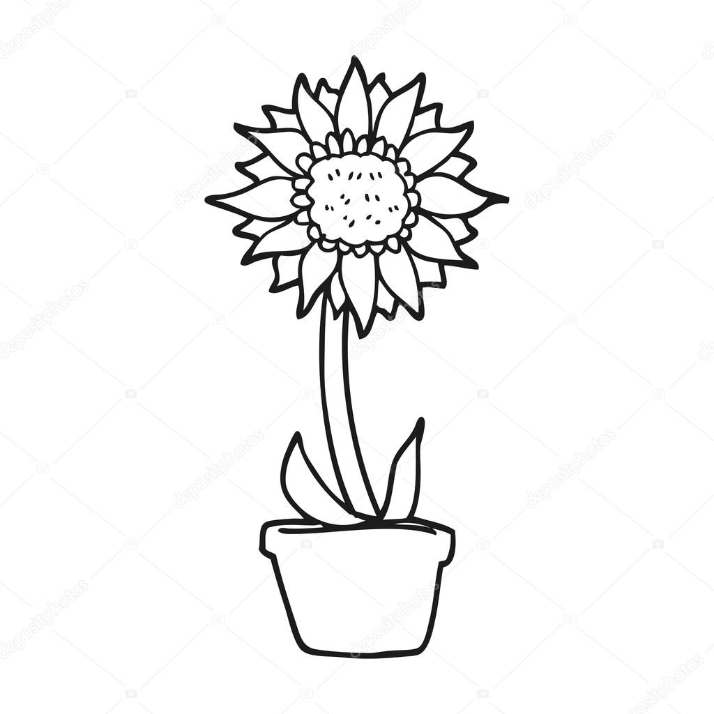 1024x1024 Sunflower Drawing Cartoon For Free Download