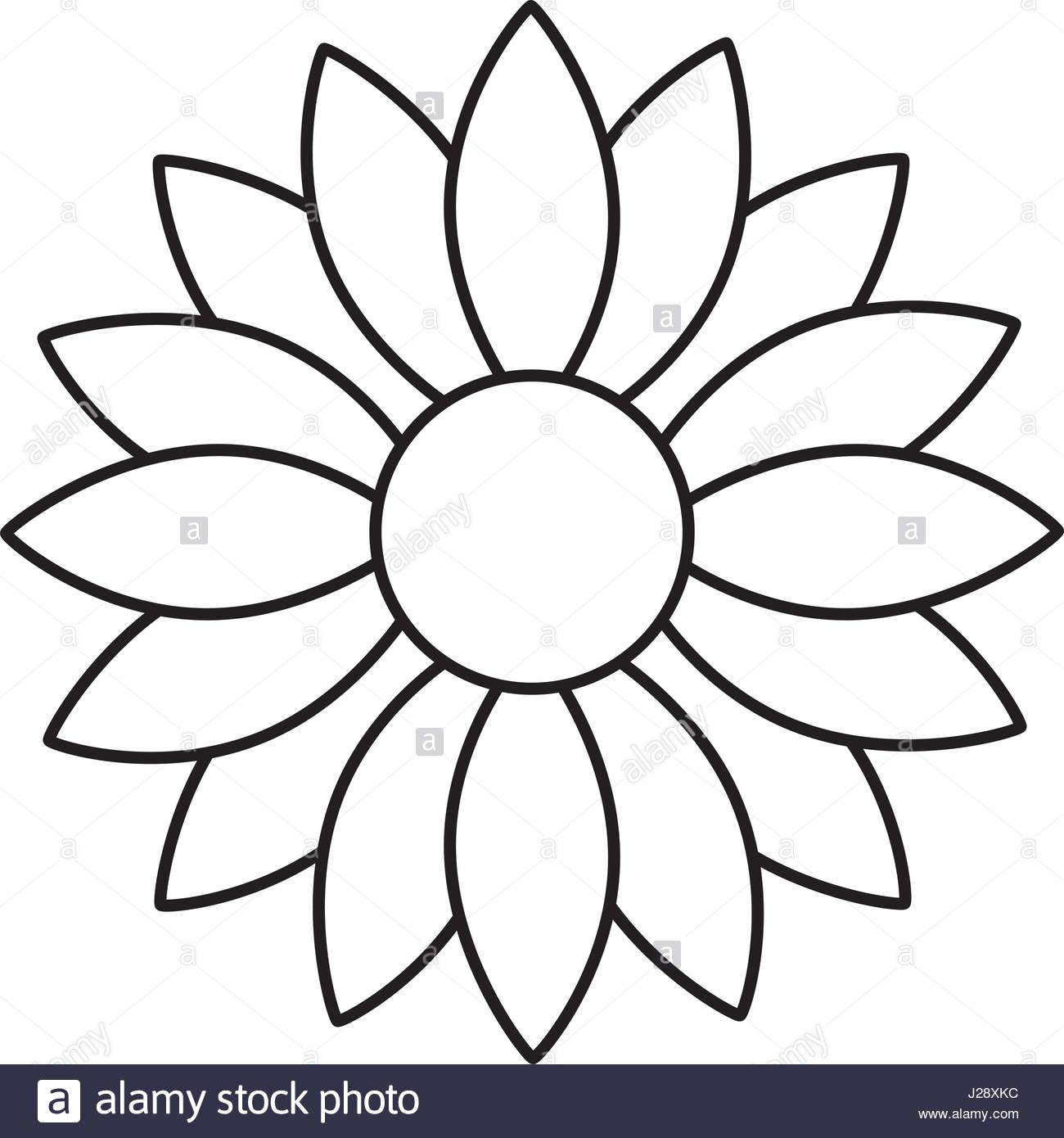 1300x1390 Huge Collection Of 'black And White Sunflower Drawing' Download