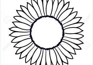 300x210 Sunflower Drawing Simple