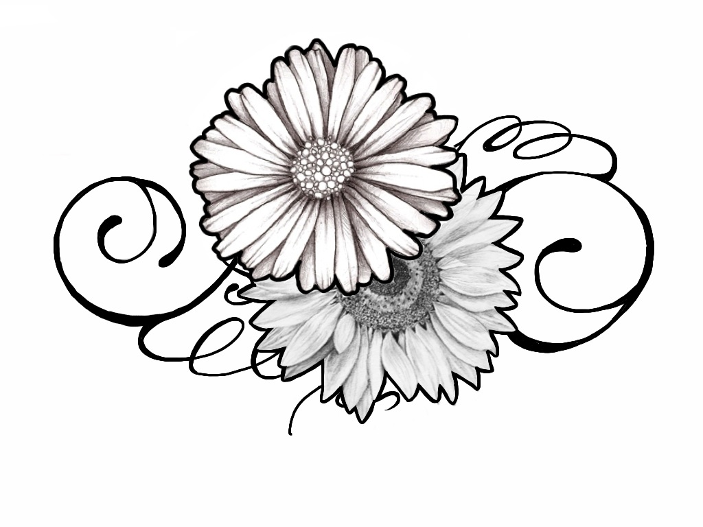 1024x768 Sunflower Drawing Daisy For Free Download