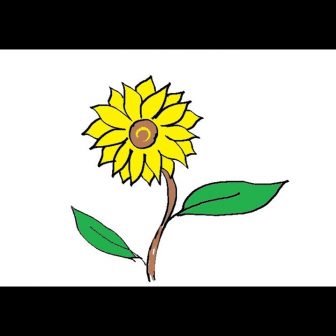 336x336 Sunflower Drawing Tutorial Easy Ariel Airplane Aeroplane Pictures