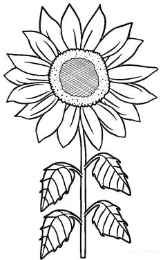 236x375 Sunflower Drawing For Kids Mindbodysoul Club