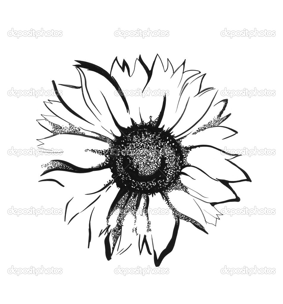 952x1023 Simple Sunflower Tattoo Design Royalty Free Vector Image This