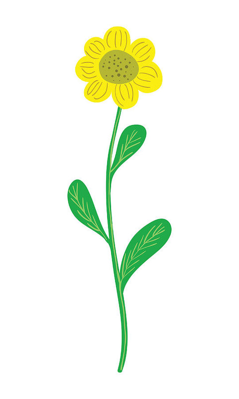 480x800 Simple Yellow Sunflower Vector Illustration On White Background