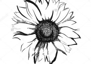 300x210 Small Sunflower Drawing Simple Sunflower Drawing