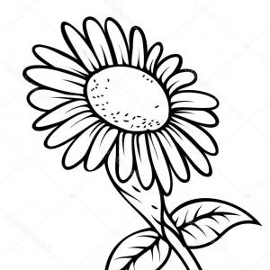 300x300 Sunflower Drawing Images Retro Sunflower Drawing Stock Vector