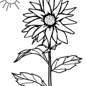 336x336 Sunflower Drawing Realistic Simple Aesthetic Images Tattoo Outline