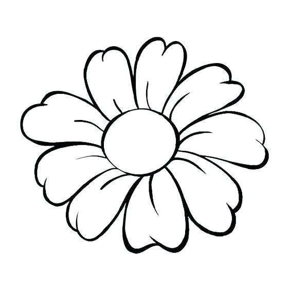 564x589 Outline Of Flowers Flower Pictures For Drawing Best Flower Outline