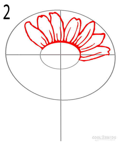 497x600 How To Draw A Sunflower