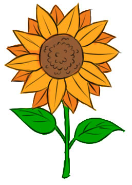 257x360 How To Draw A Sunflower Lessdraw
