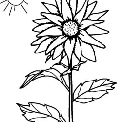 250x250 Sunflower Drawing Simple Steps A Realistic Bullet Journal