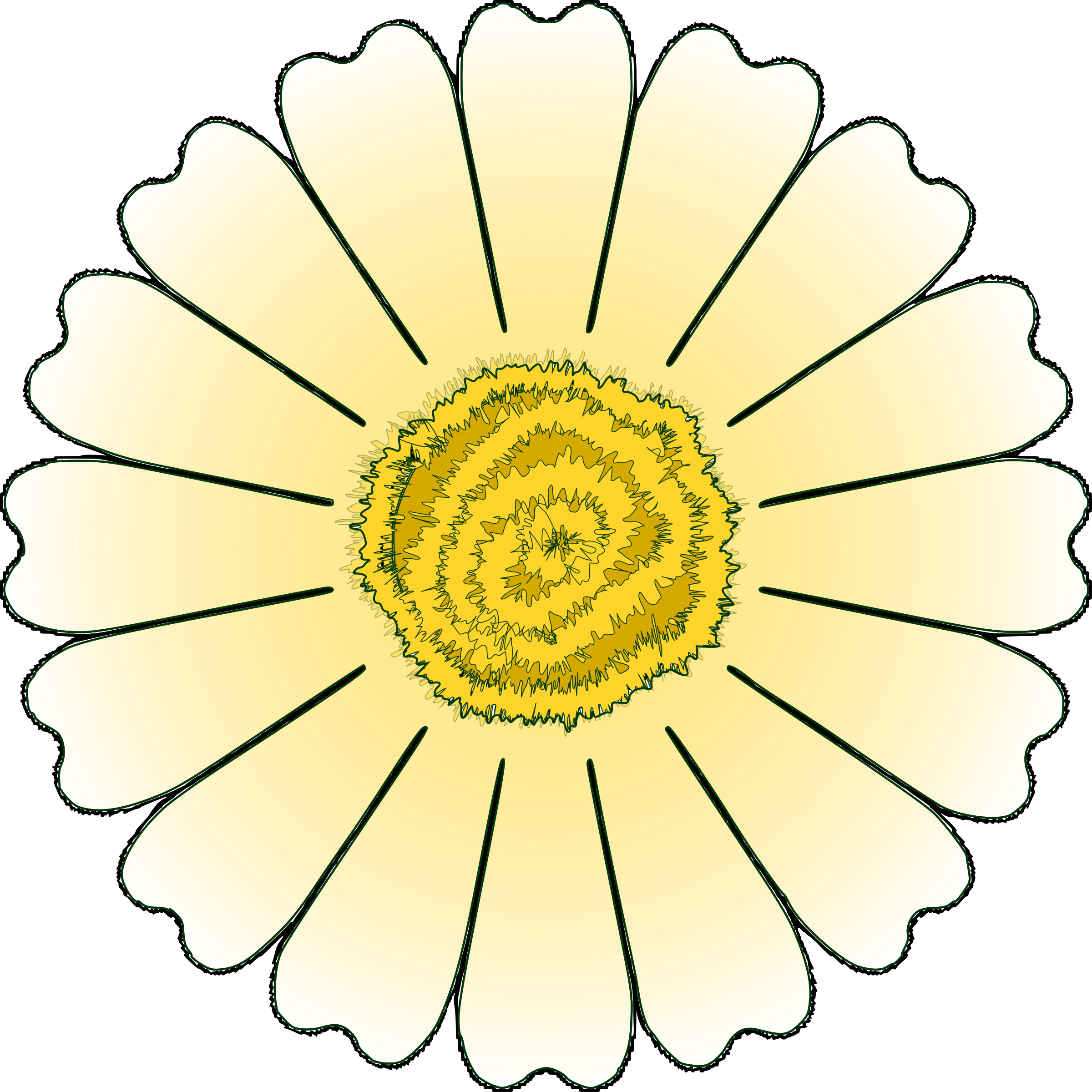 Sunflower Drawing Template