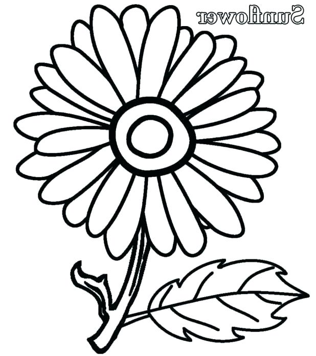 618x696 Printable Sunflower Printable Sunflower Coloring Pages For Kids