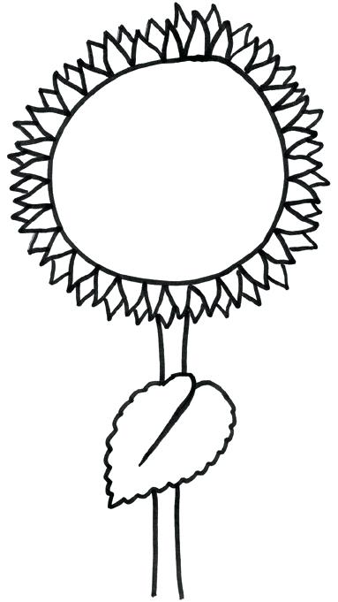 383x681 Sunflower Template Preschool Templates Definition Project