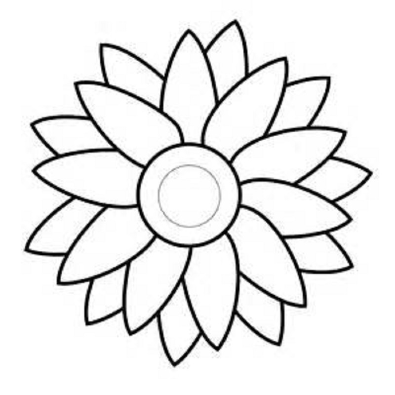 Sunflower Drawing Template | Free download on ClipArtMag