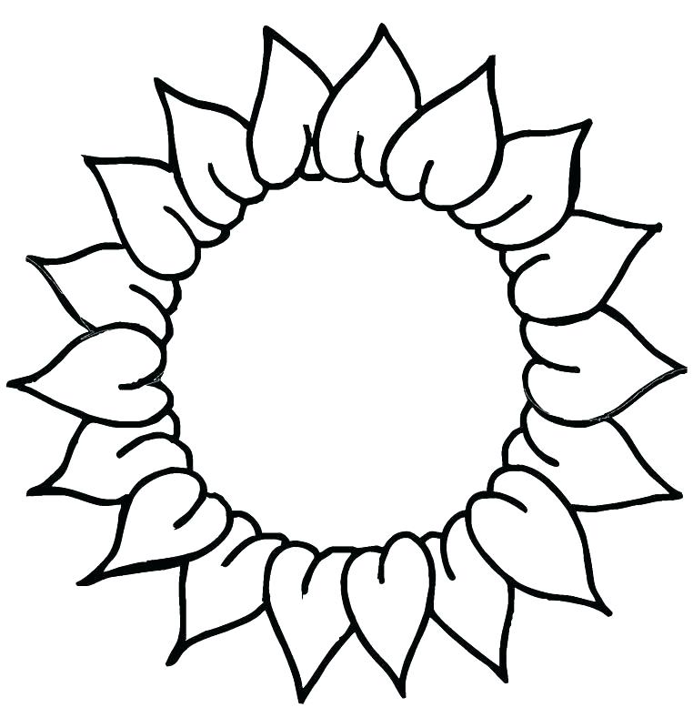 Sunflower Drawing Template Free Download On ClipArtMag