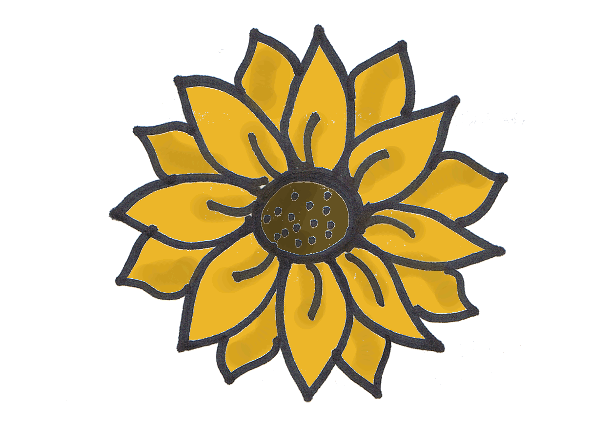 1209x873 Sunflowers Outline Transparent Png Clipart Free Download