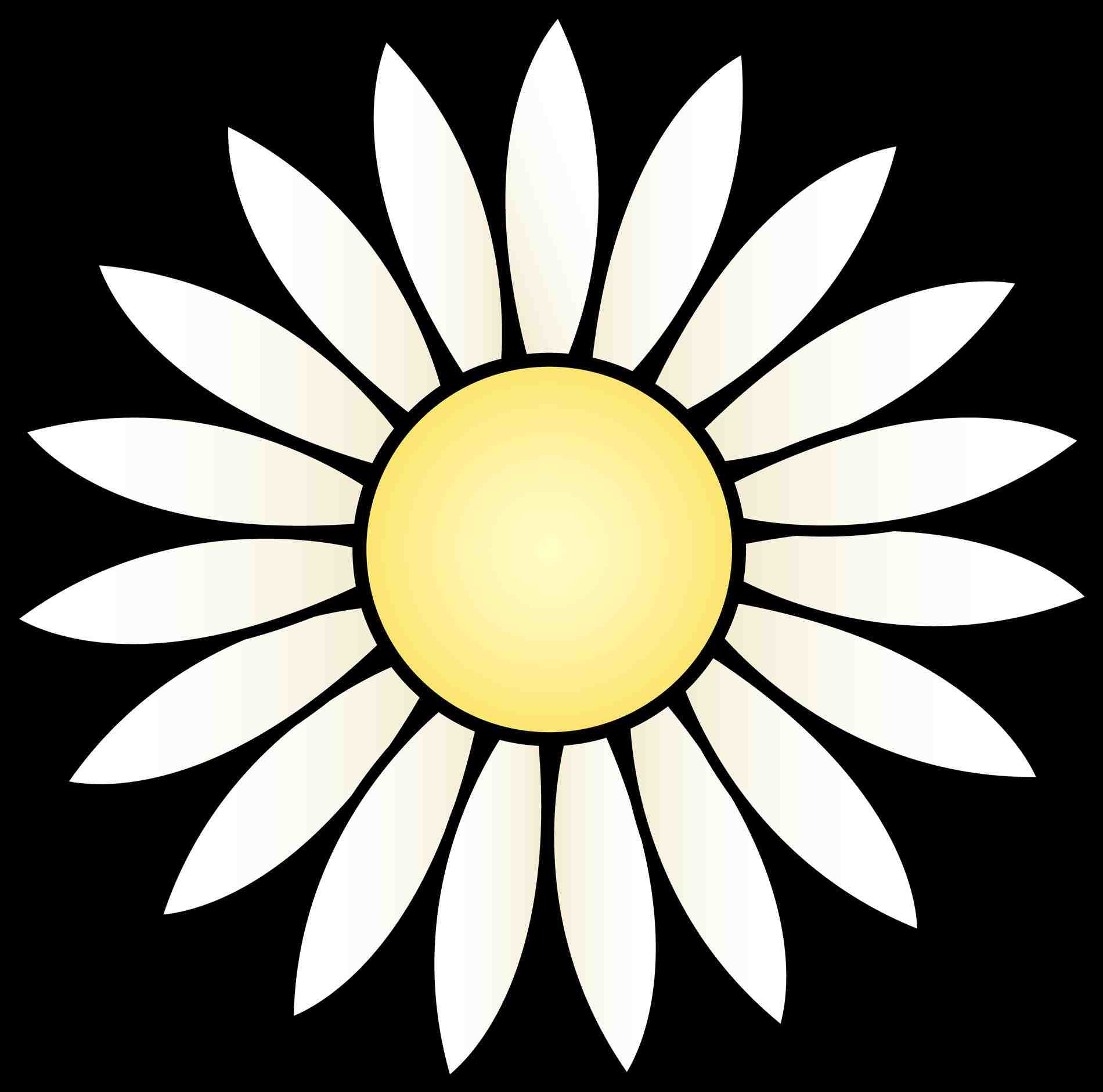 1900x1881 Sunflower Drawing Template