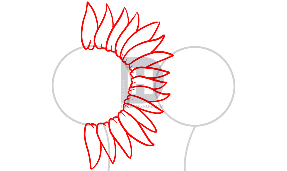 982x587 How To Draw Sunflowers, Step