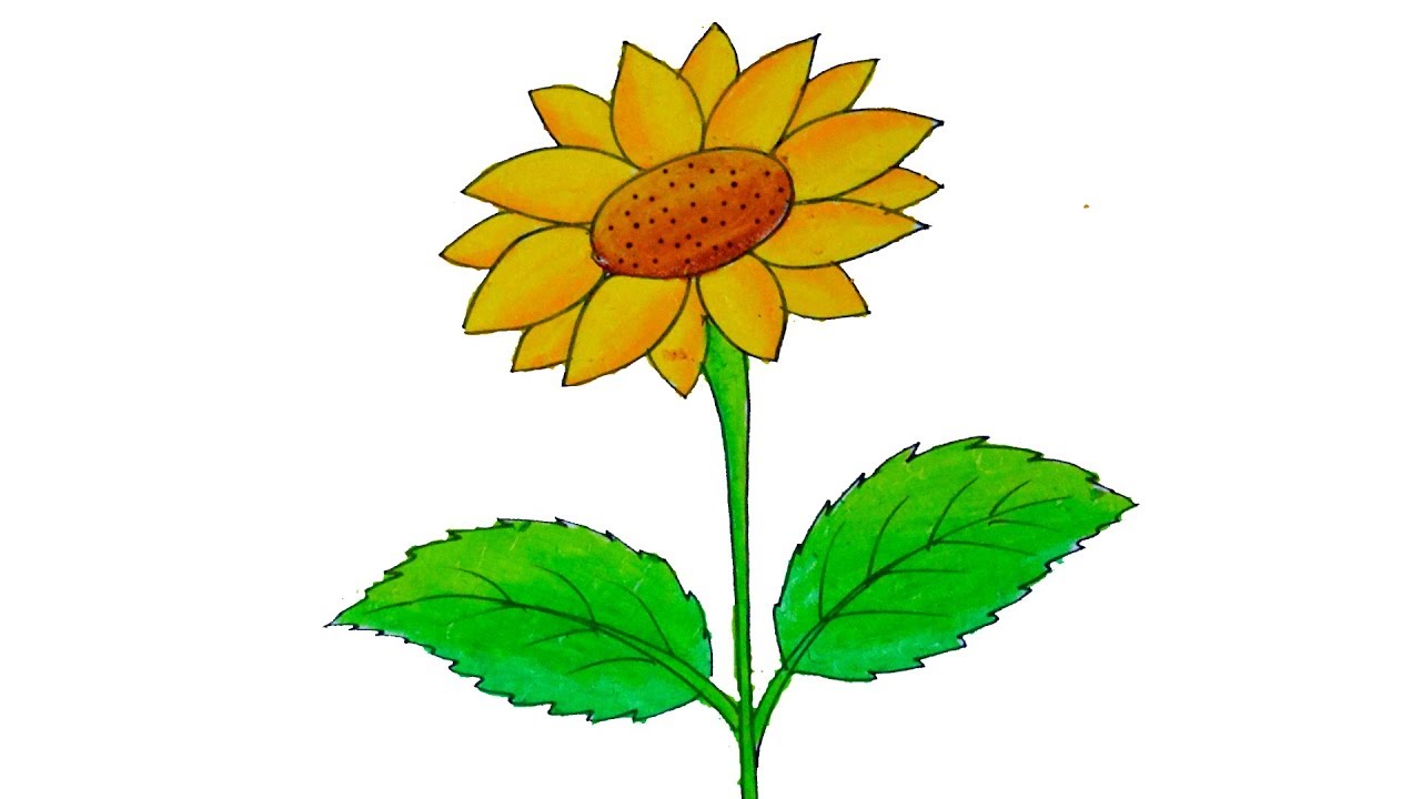 1280x720 How To Draw Sunflower For Kids Sunflower Drawing Step