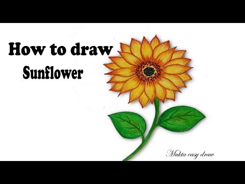 480x360 How To Draw A Sunflower