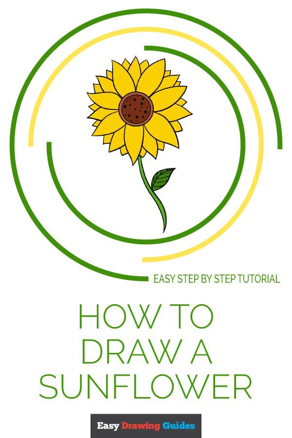 600x900 How To Draw A Sunflower