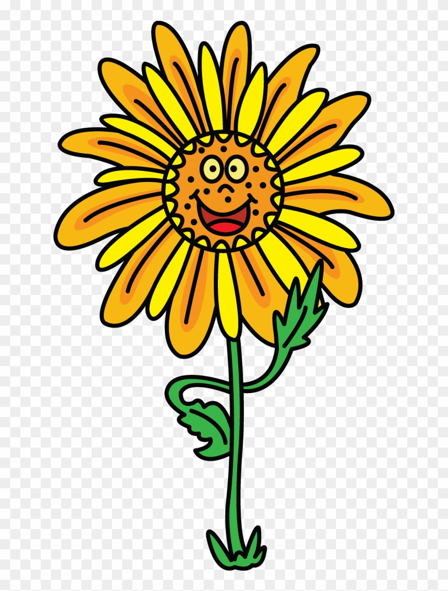 880x1162 How To Draw Flowers, How To Draw A Rose, Plants, Step