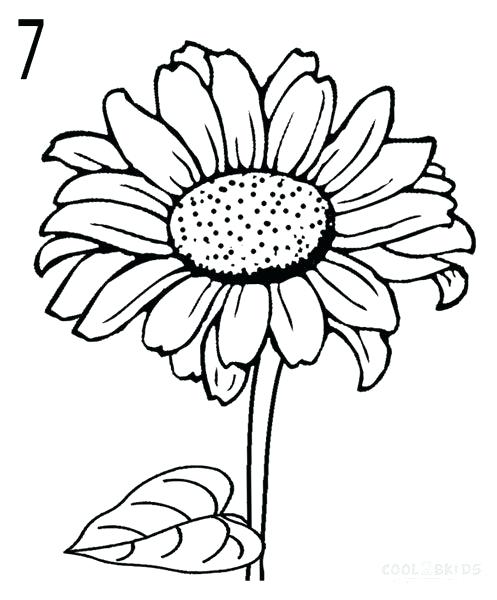 497x600 Easy To Draw Sunflower Image Titled Draw A Flower Step Easy