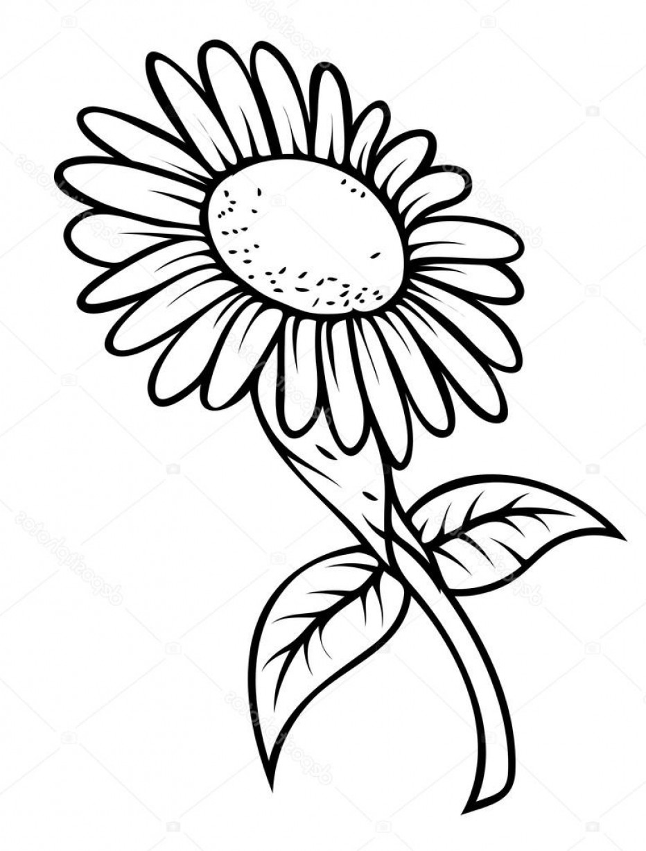 932x1227 Sunflower Drawing Images Retro Sunflower Drawing Stock Vector