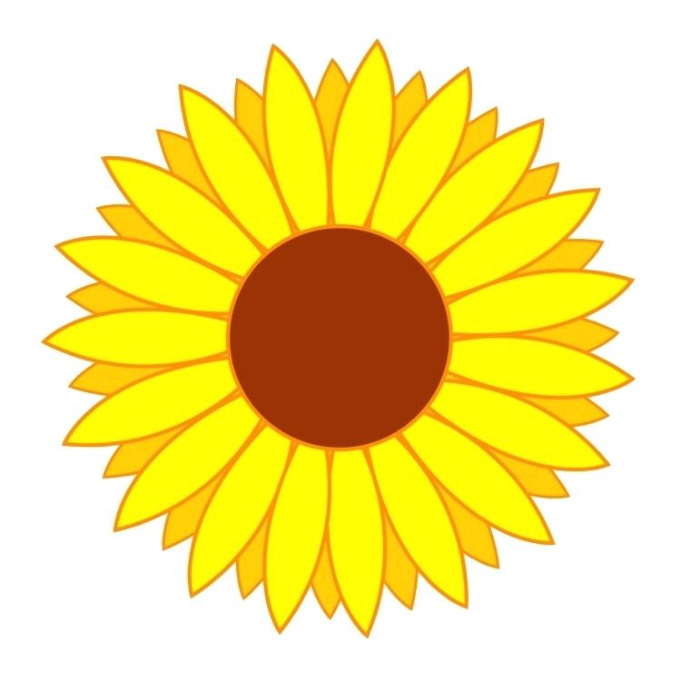 760x750 How To Draw Sunflower Petals Nip
