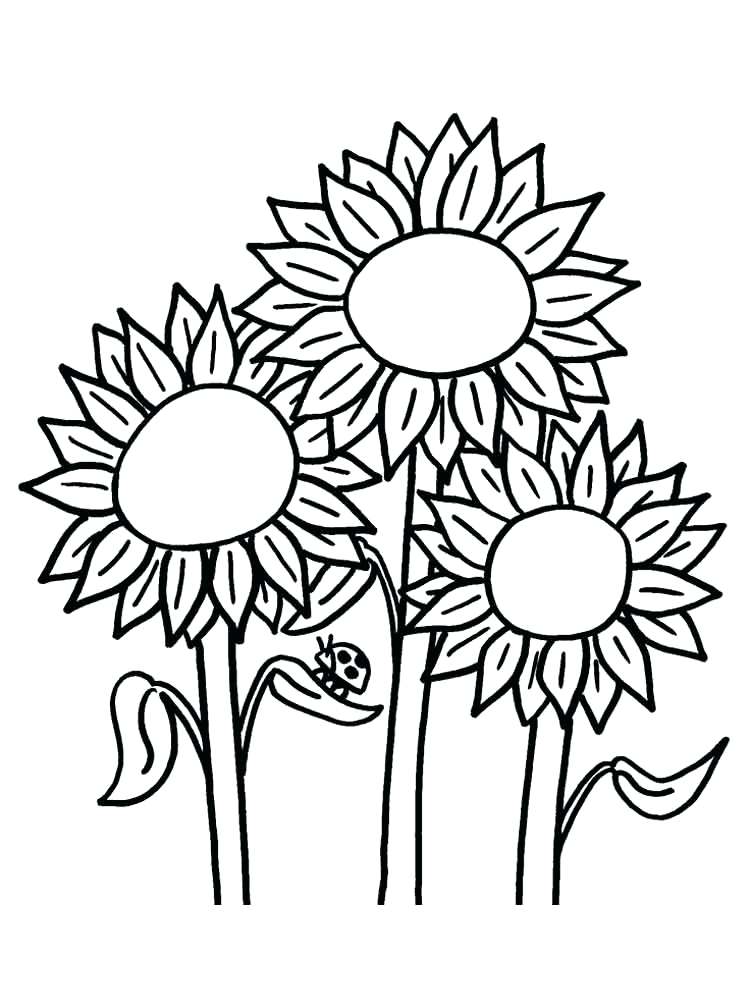 750x1000 Flower Clip Art Coloring Pages At Free Printable Sunflower