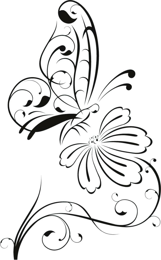 671x1082 Flower Outline Drawings