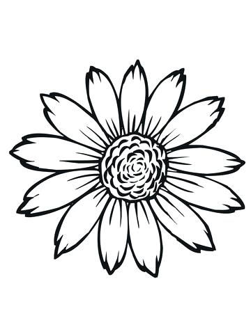 360x480 Free Printable Sunflower Coloring