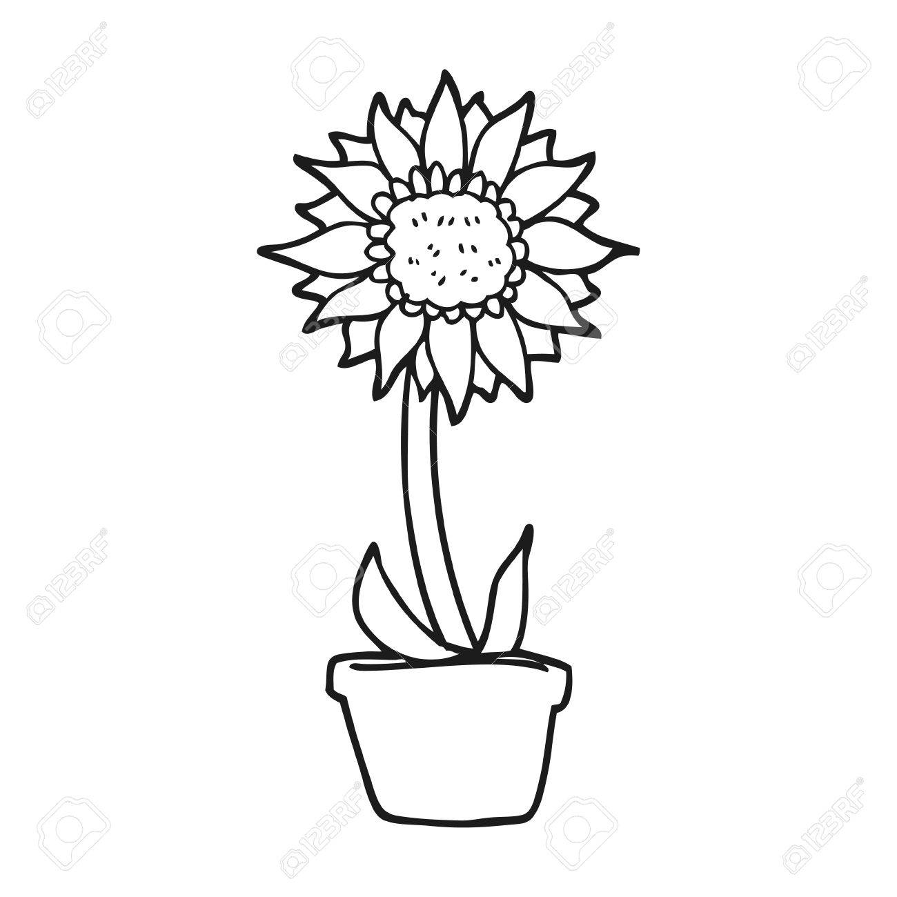 1300x1300 Collection Of Free Sprout Clipart Sunflower Stem Bean Clipart
