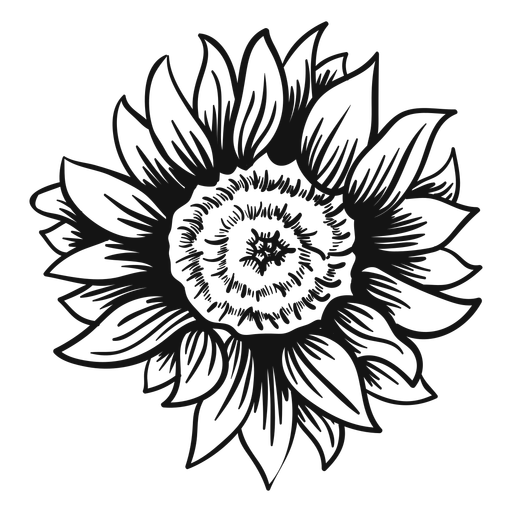 512x512 Collection Of Free Sunflower Line Art Download On Ui Ex