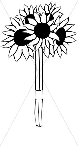 330x612 cut sunflowers tied in a bouquet church bouquet clipart
