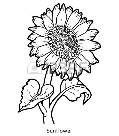 396x450 Drawn Sunflower Outline