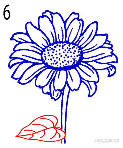 497x600 How To Draw A Sunflower