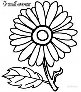 266x300 Simple Sunflower Coloring