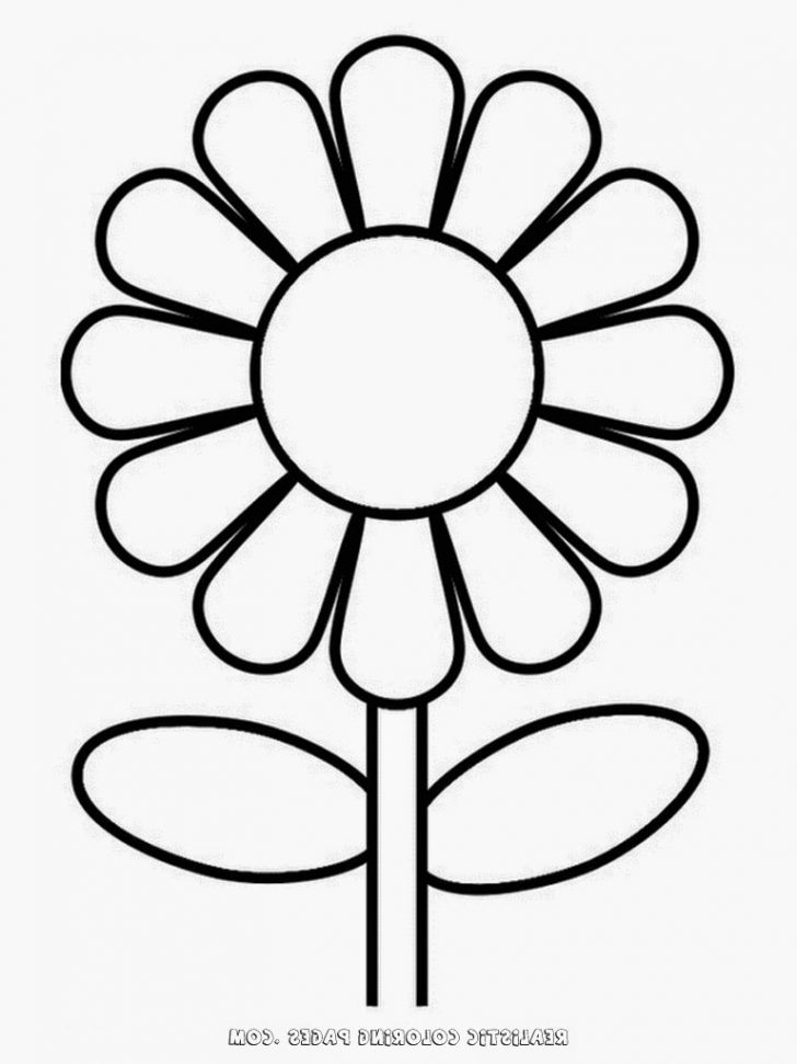 728x971 Sunflower Drawing Aesthetic In A Pot Ideas Steps Simple Activity