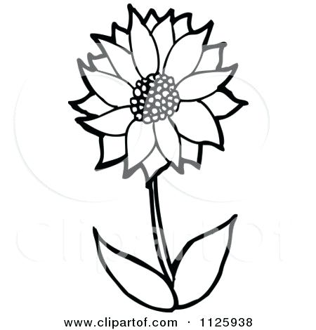 450x470 Sunflower Outlines Mebelmag