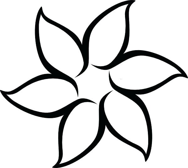600x536 Flower To Draw Easy How To Draw Flowers Step Best Way To Draw