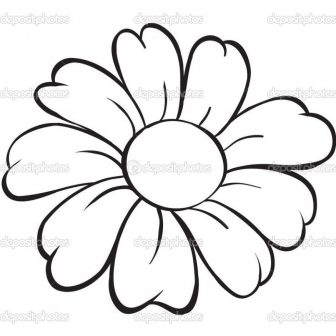 336x336 Sunflower Drawing Black And White Pencil Flower Images Vine