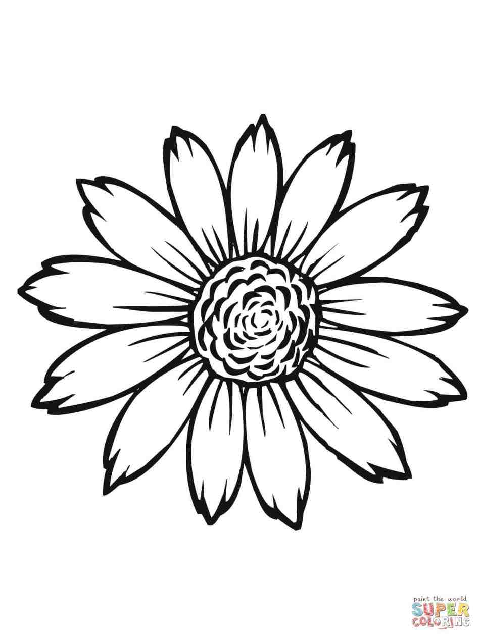 948x1264 Sunflower Drawing Template Sunflower Drawing Template