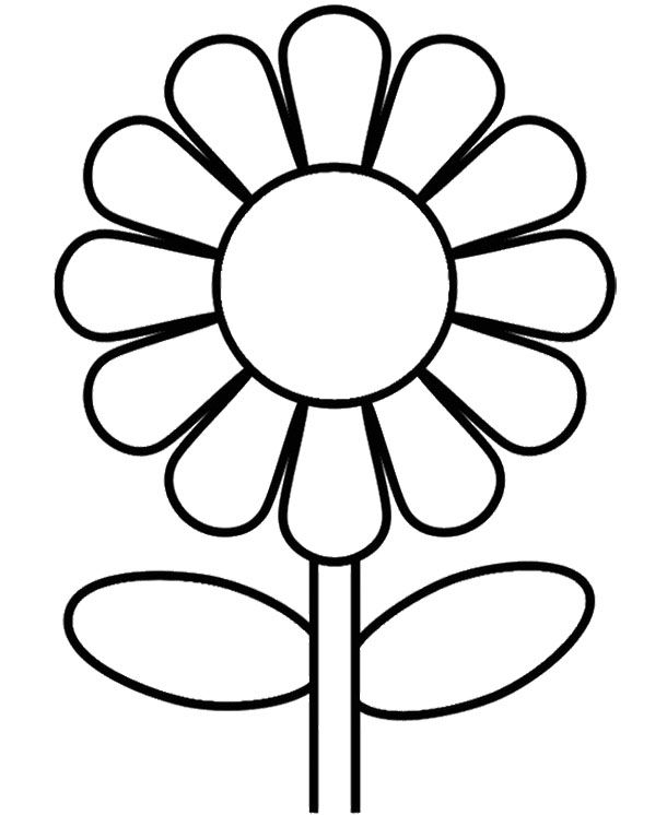 610x746 Sunflower Drawing Free Download