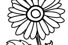 236x157 Drawing A Sunflower Youtube Ideas Pencil Template Simple Realistic