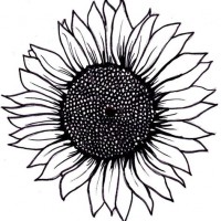 200x200 Just Another Kayaflower Site